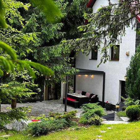 Mountain Chalet - Cabana La Muntele Baisorii Muntele Cacovei  外观 照片