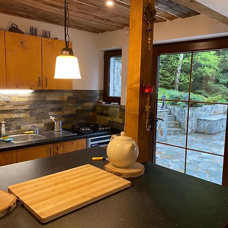 Mountain Chalet - Cabana La Muntele Baisorii Muntele Cacovei  外观 照片