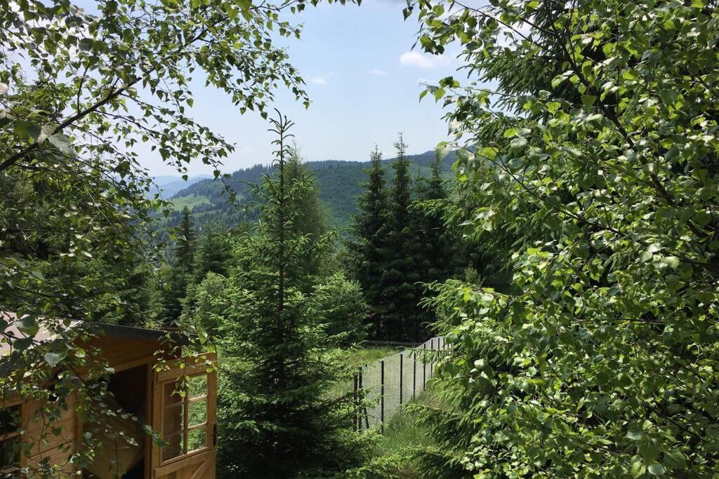 Mountain Chalet - Cabana La Muntele Baisorii Muntele Cacovei  外观 照片