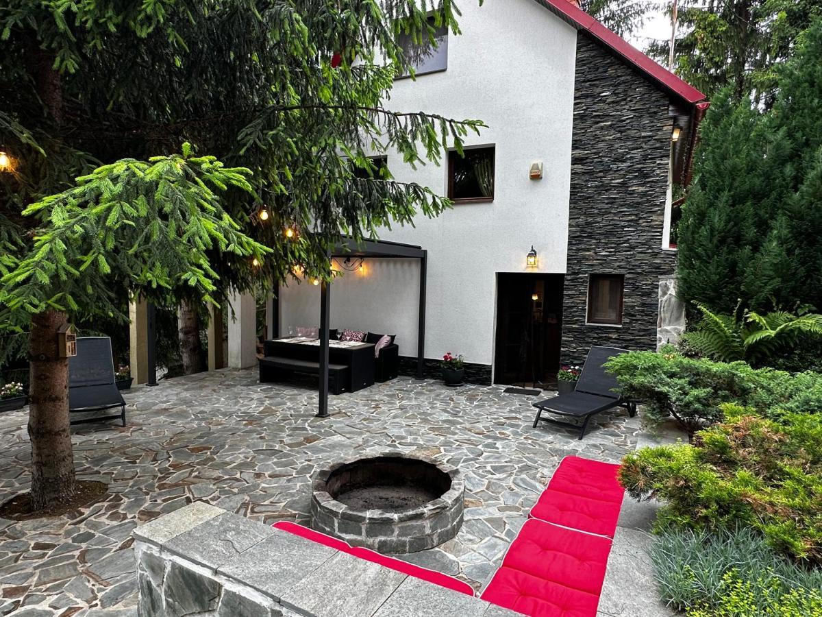 Mountain Chalet - Cabana La Muntele Baisorii Muntele Cacovei  外观 照片
