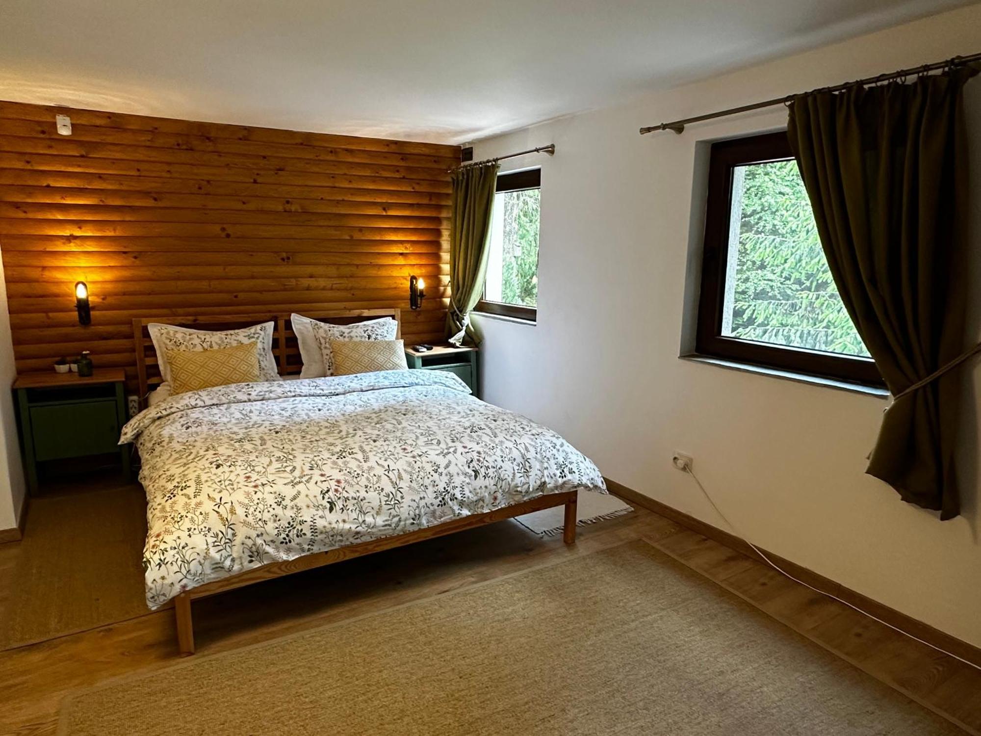 Mountain Chalet - Cabana La Muntele Baisorii Muntele Cacovei  外观 照片
